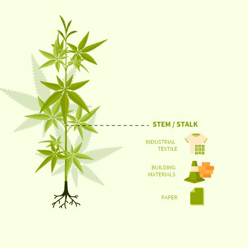 Hemp Hemp